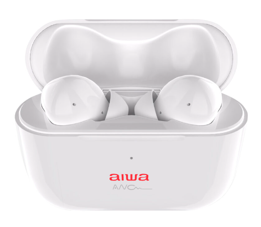 Aiwa EBTW-888ANC WT