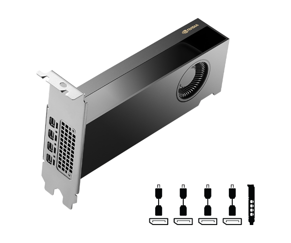 כרטיס מסך NVIDIA RTX 2000 Ada Generation 16GB 4XMiniDP