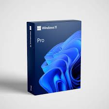 Win 11 Pro 64Bit Hebrew 1pk DVD