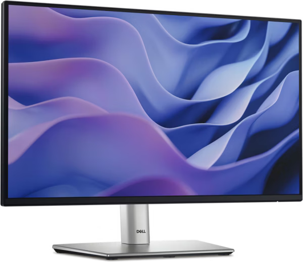 Dell 24 Monitor - P2225H -   (21.5)