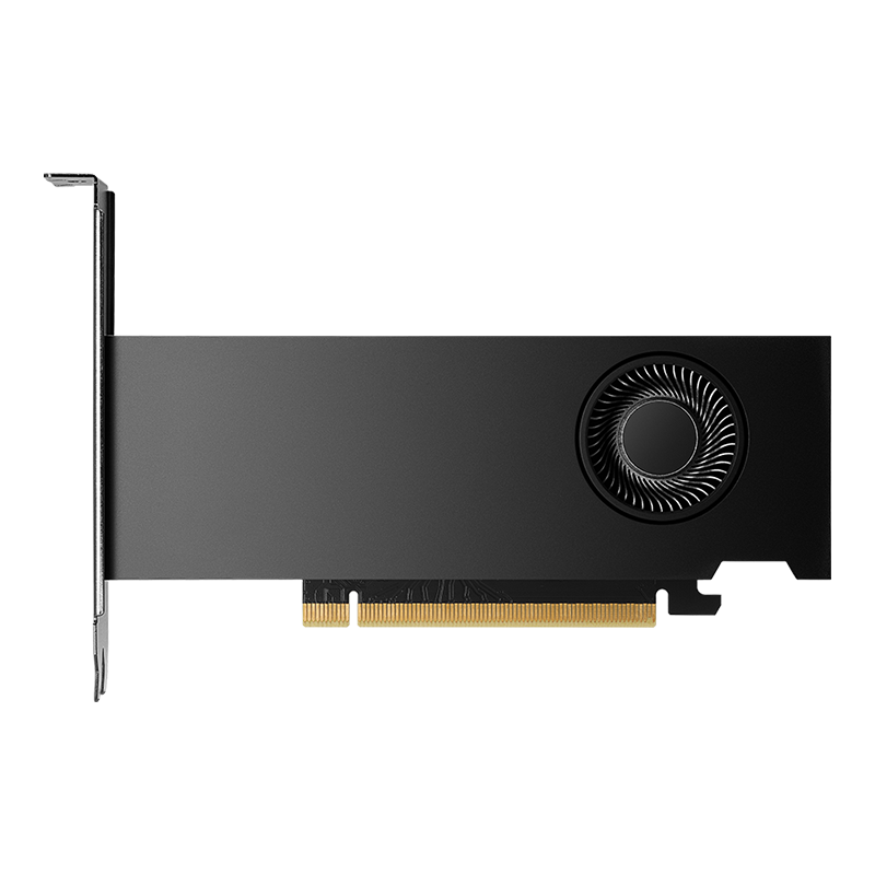 NVIDIA RTX 2000 Ada 16GB