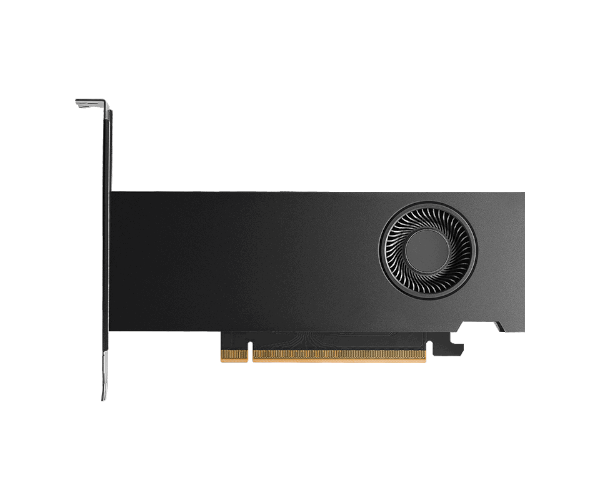 כרטיס מסך NVIDIA RTX PRO 2000 Blackwell – 16GB GDDR7 – ממשק 128bit – PCI Express 5.0 x8 – פרופיל נמוך וללא מאוורר