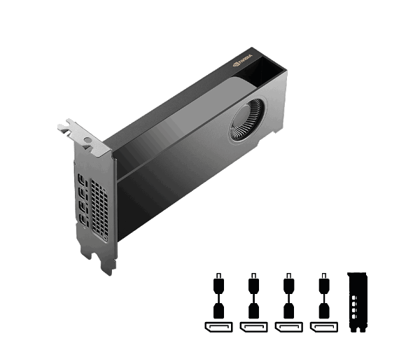 כרטיס מסך NVIDIA RTX PRO 2000 Blackwell – 16GB GDDR7 – ממשק 128bit – PCI Express 5.0 x8 – פרופיל נמוך וללא מאוורר