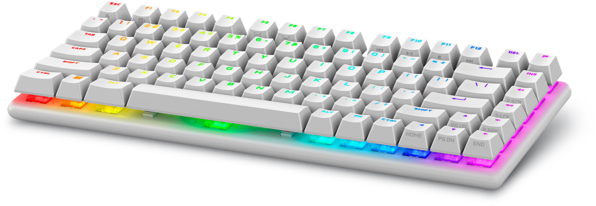 מציאון - Alienware Pro Wireless Gaming Keyboard - Hebrew (QWERTY) (Lunar Light)
