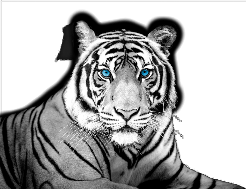 White Tiger Technologies