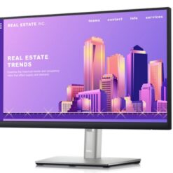 Dell 24 Monitor - P2422H - 60.5cm (23.8) OP-RD09-12817