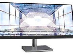 L29w-30(F212902E0)29inch Monitor-HDMI 66E5GAC3IS