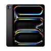 13inch iPad Pro WiFi 512GB with Standard glass - Space Black