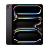 13inch iPad Pro WiFi + Cellular 256GB with Standard glass - Space Black
