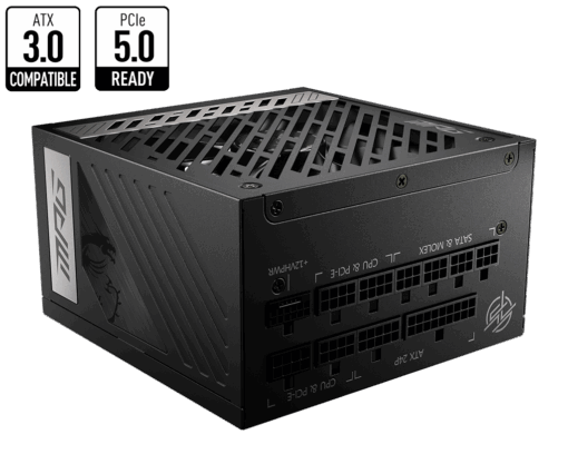 MSI MPG A1000G PCIE5 80+ GOLD