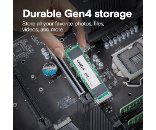 דיסק SSD פנימי Crucial E100 – 2TB – M.2 2280 – PCIe Gen4 NVMe