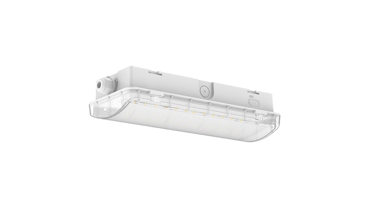 תאורת חירום מוגן מים על הטיח EML-03142IP