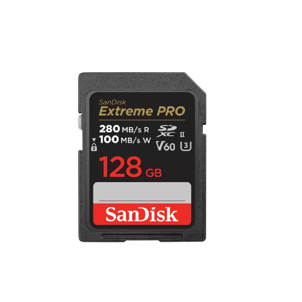 כרטיס זיכרון EX PRO SD 280S V60 6K בנפח 128B