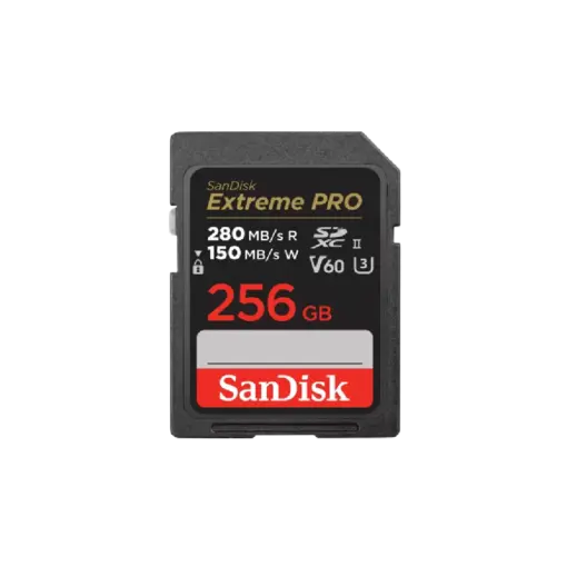 כרטיס EX PRO SD 280S V60 6K 256B
