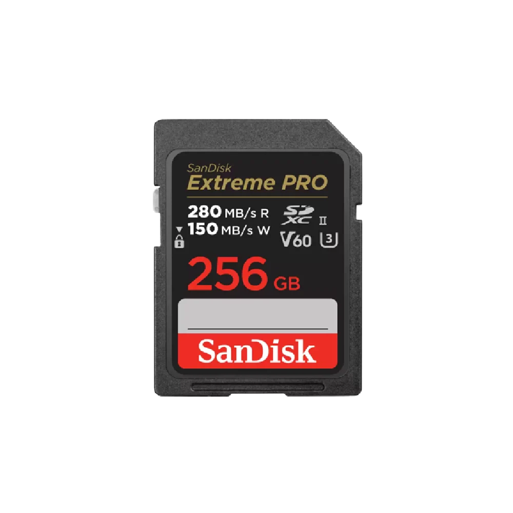 כרטיס EX PRO SD 280S V60 6K 256B