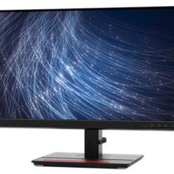 ThinkVision T24-4v