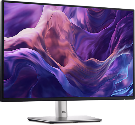 Dell 24 Monitor - P2425E, 61cm (24.0)