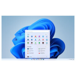 Win 11 Pro 64Bit Hebrew 1pk DSP OEI DVD