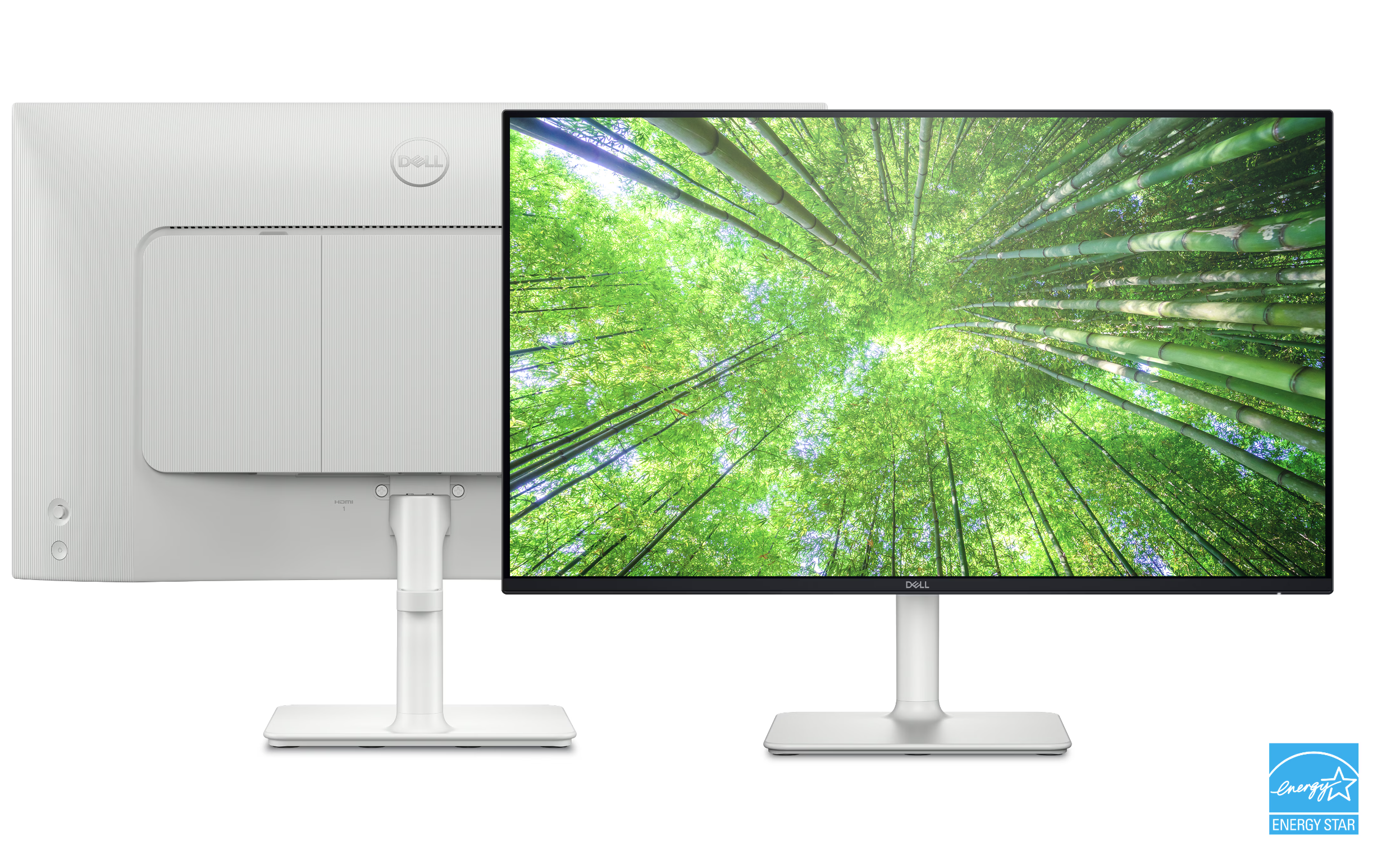Dell 27 Monitor - S2725HS- 60.45 cm (27”)